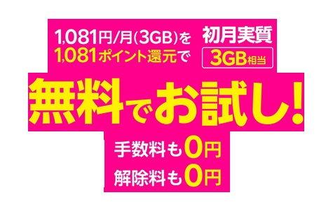 1ケ月３Gまでの1081ポイントが還元