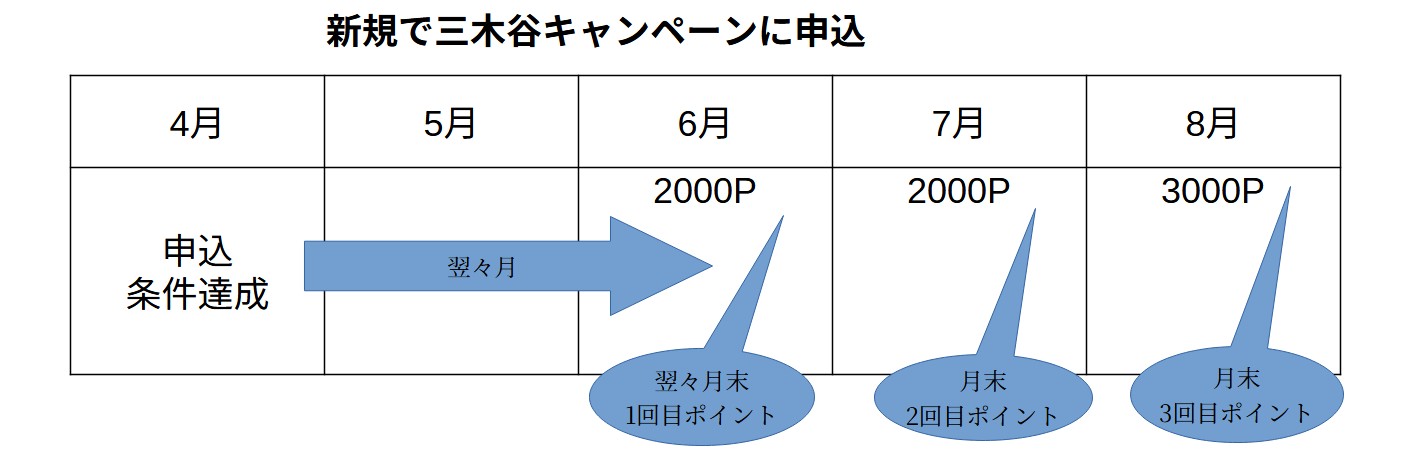 三木谷キャンペーンのポイントいつもらえる？
